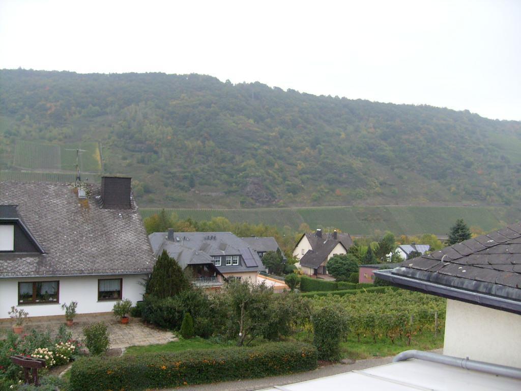 Pension Kroth An Der Mosel Briedel Exteriér fotografie